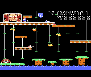 Donkey Kong Junior