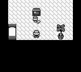 Pocket Monsters Ao