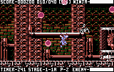 Ninja Gaiden III - The Ancient Ship of Doom