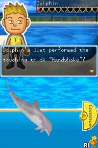 My Pet Dolphin