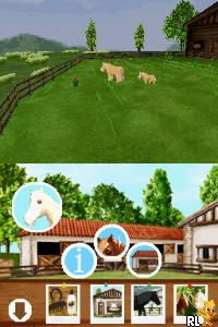 My Pet Pony