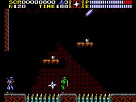 Ninja Gaiden