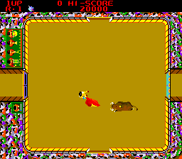 Bullfight