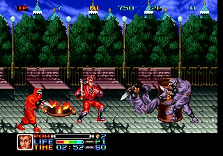 Ninja Combat