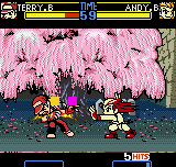 Fatal Fury F-Contact - Pocket Fighting Series
