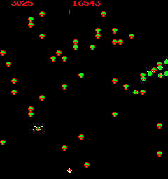 Centipede