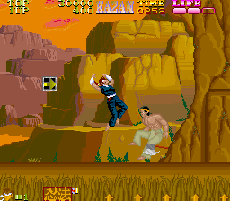 Iga Ninjyutsuden