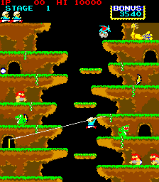 Roc'n Rope
