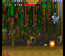 Xain'd Sleena