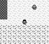 Final Fantasy Legend, The