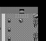 Monster Race Okawari