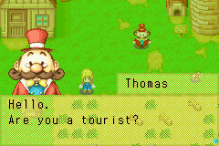 Harvest Moon - More Friends of Mineral Town