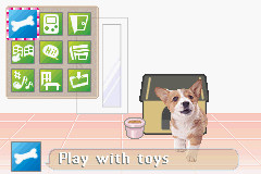 Pocket Dogs