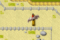 Horsez
