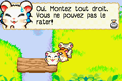 Hamtaro - Rainbow Rescue