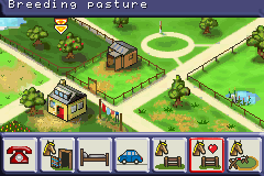 Let's Ride! Sunshine Stables