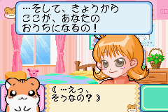 Hamster Club 4
