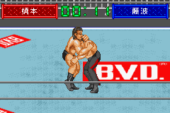 Shin Nihon Pro Wrestling Toukon Retsuden Advance