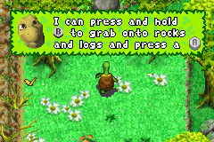 Over the Hedge