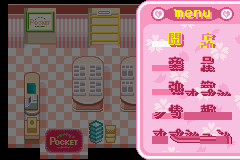 Fancy Pocket