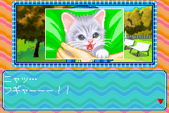 Nakayoshi Pet Advance Series 3 Kawaii Koneko