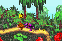 Super Donkey Kong