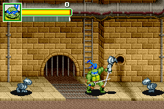 Teenage Mutant Ninja Turtles