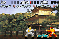 International Karate Advanced