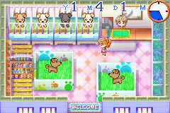Petz Vet