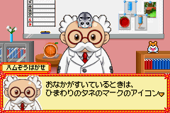 Hamster Paradise - Pure Heart