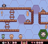 Maya the Bee & Her Friends