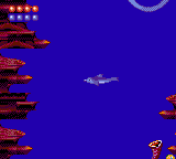Ecco the Dolphin II