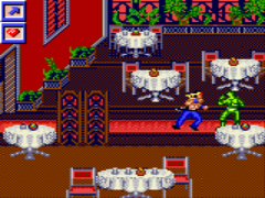 Surf Ninjas
