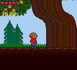 Berenstain Bears' Camping Adventure, The