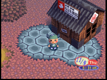 Animal crossing