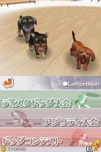 Nintendogs - Miniature Dachshund & Friends