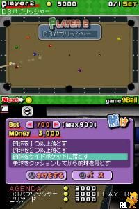 Simple DS Series Vol. 2 - The Billiard