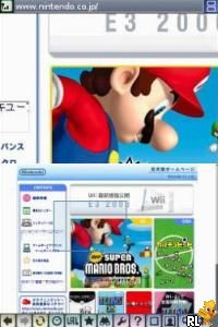 Nintendo DS Browser
