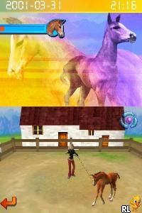 Horsez