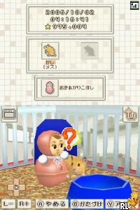 Hamster to Kurasou