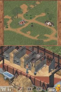 Pferd & Pony - Mein Gestuet