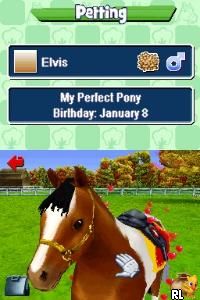 Pony Friends