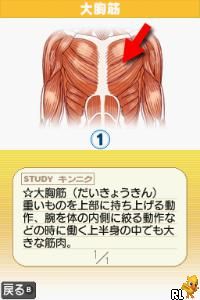 Kakko Yoku Narou - Kaku-chan Shiki - Kintore Navi