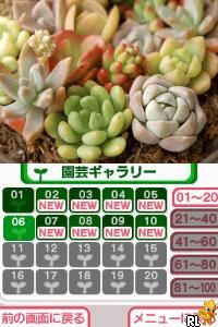 Hana Saku DS Gardening Life