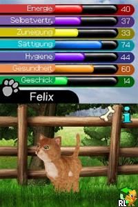 My Best Friends - Cats & Dogs