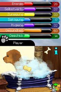 Paws & Claws - Best Friends - Dogs & Cats