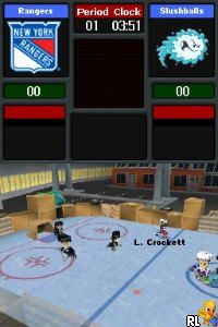 Backyard Hockey