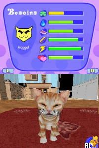 Catz 2