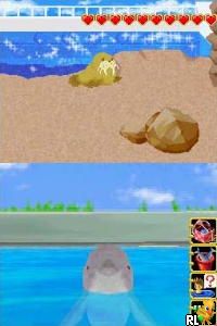 I Love Dolphin