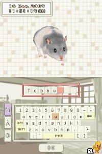 Hamsterz 2